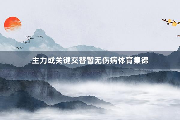 主力或关键交替暂无伤病体育集锦