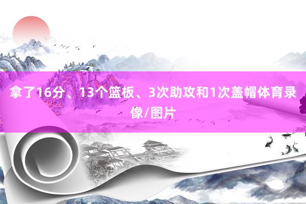 拿了16分、13个篮板、3次助攻和1次盖帽体育录像/图片
