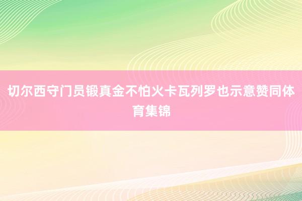 切尔西守门员锻真金不怕火卡瓦列罗也示意赞同体育集锦