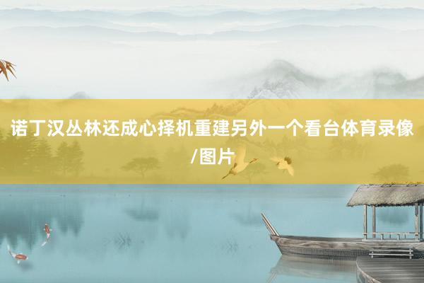 诺丁汉丛林还成心择机重建另外一个看台体育录像/图片