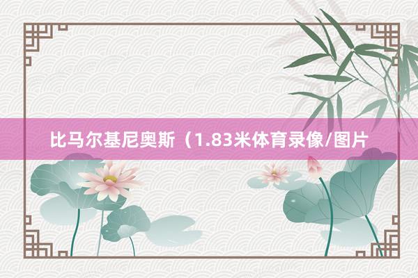 比马尔基尼奥斯（1.83米体育录像/图片