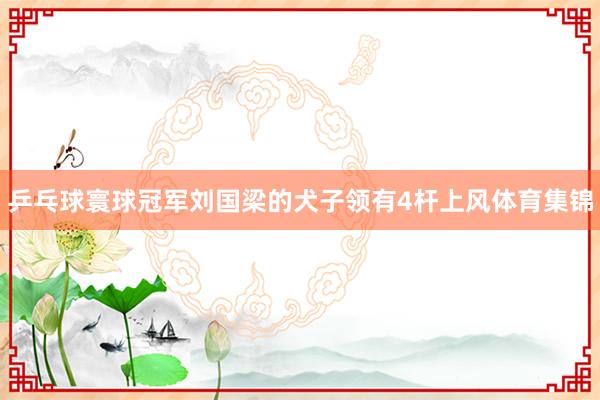 乒乓球寰球冠军刘国梁的犬子领有4杆上风体育集锦