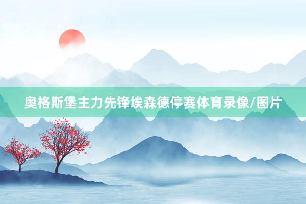奥格斯堡主力先锋埃森德停赛体育录像/图片