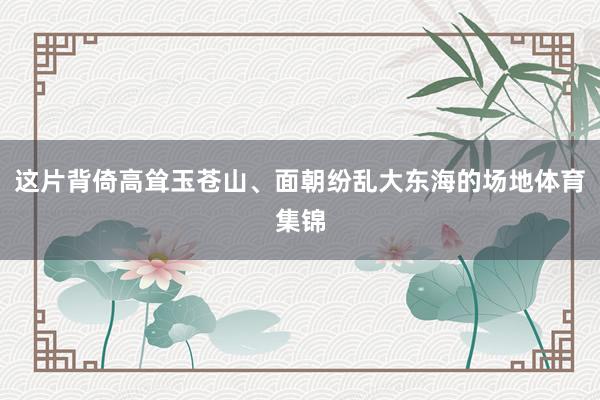 这片背倚高耸玉苍山、面朝纷乱大东海的场地体育集锦