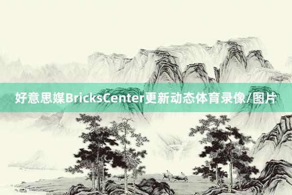 好意思媒BricksCenter更新动态体育录像/图片