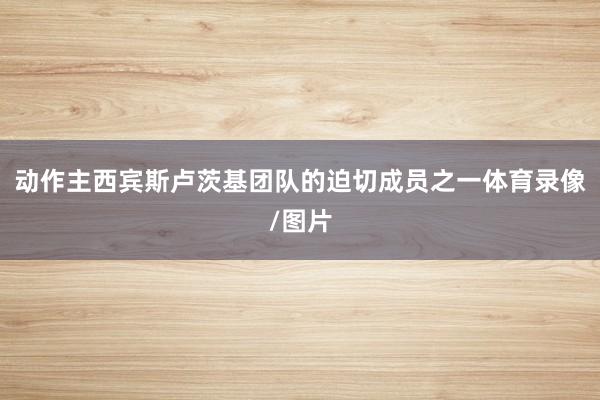 动作主西宾斯卢茨基团队的迫切成员之一体育录像/图片