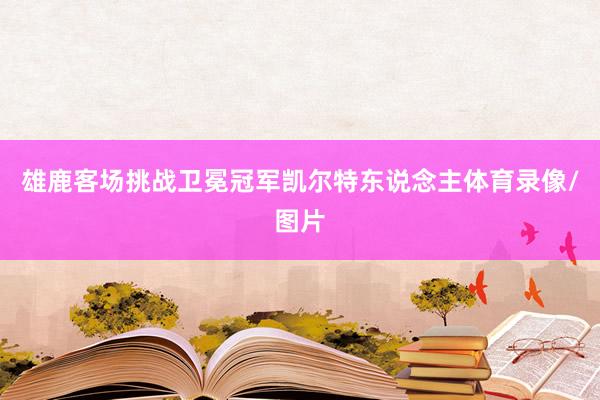 雄鹿客场挑战卫冕冠军凯尔特东说念主体育录像/图片