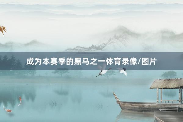 成为本赛季的黑马之一体育录像/图片