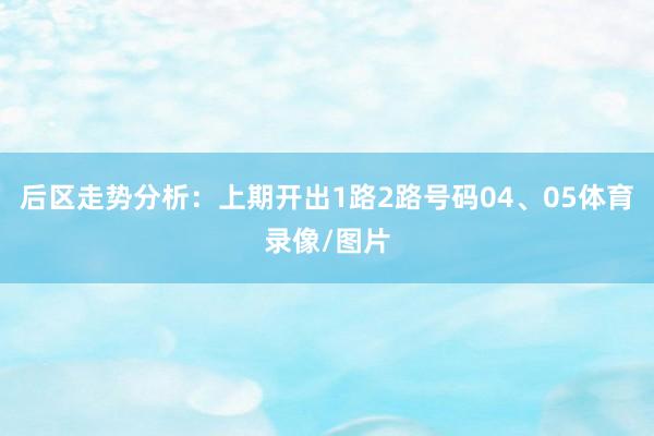 后区走势分析：上期开出1路2路号码04、05体育录像/图片