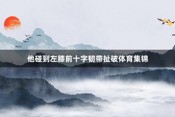 他碰到左膝前十字韧带扯破体育集锦