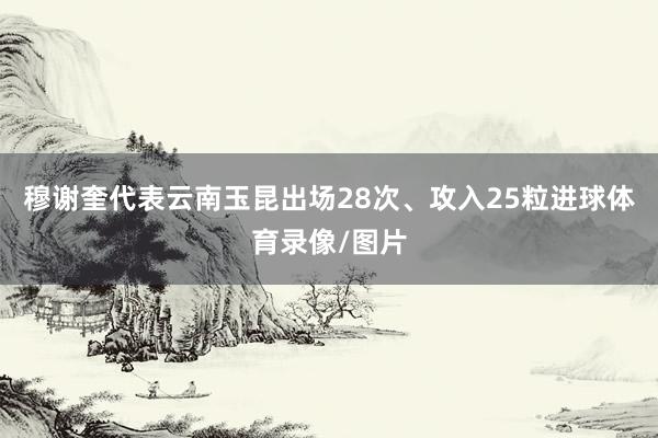 穆谢奎代表云南玉昆出场28次、攻入25粒进球体育录像/图片