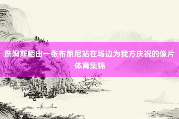 詹姆斯晒出一张布朗尼站在场边为我方庆祝的像片体育集锦