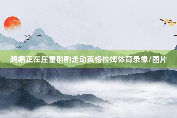 鹈鹕正在庄重斟酌走动英格拉姆体育录像/图片