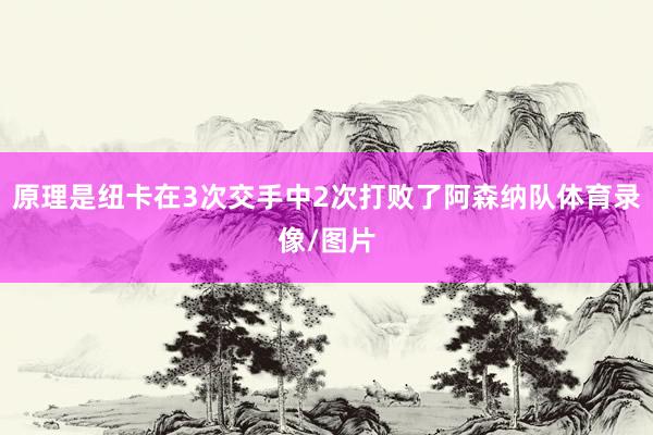 原理是纽卡在3次交手中2次打败了阿森纳队体育录像/图片