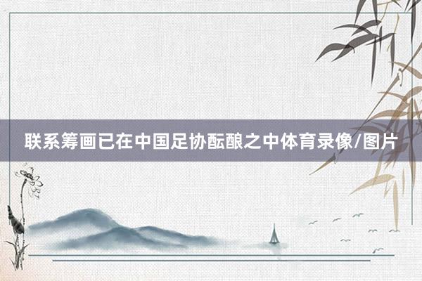 联系筹画已在中国足协酝酿之中体育录像/图片