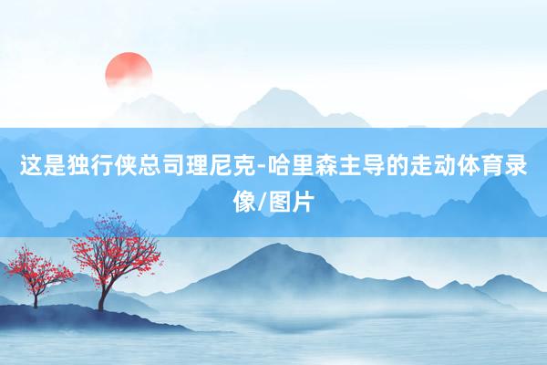 这是独行侠总司理尼克-哈里森主导的走动体育录像/图片