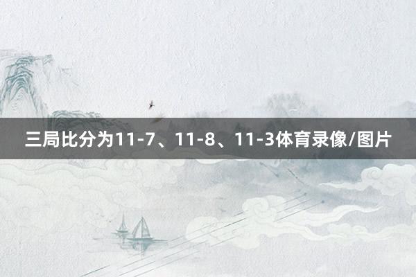 三局比分为11-7、11-8、11-3体育录像/图片
