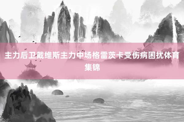 主力后卫戴维斯主力中场格雷茨卡受伤病困扰体育集锦