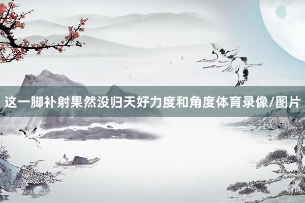 这一脚补射果然没归天好力度和角度体育录像/图片