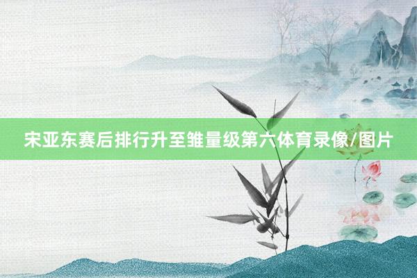 宋亚东赛后排行升至雏量级第六体育录像/图片