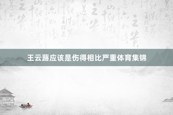 王云蕗应该是伤得相比严重体育集锦