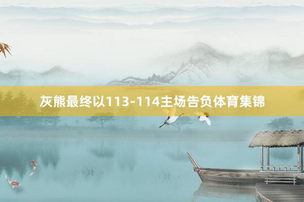 灰熊最终以113-114主场告负体育集锦